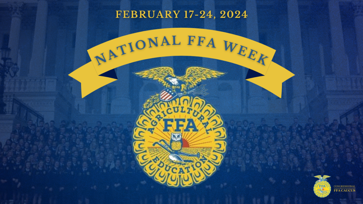 ffa week 2024