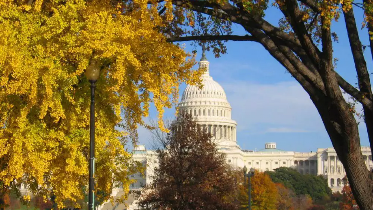 Capitol in the fall