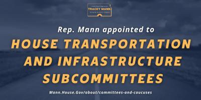 T&I Subcommittees